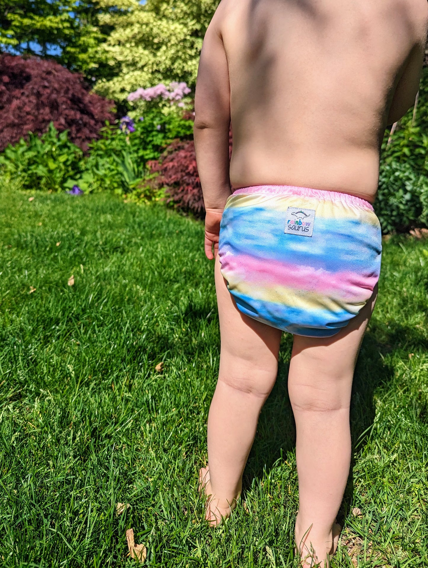 Rainbowsaurus - pTRIModactyl Fit - Summer Vibes - Sunset