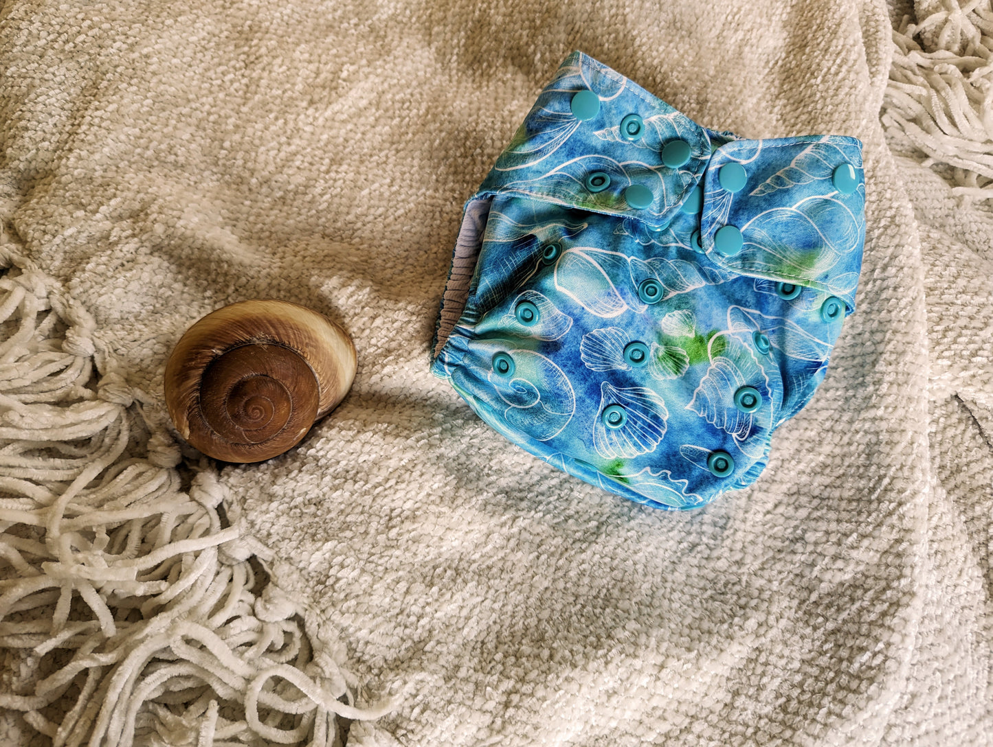Rainbowsaurus - pTRIModactyl Fit - Summer Vibes - Seashells