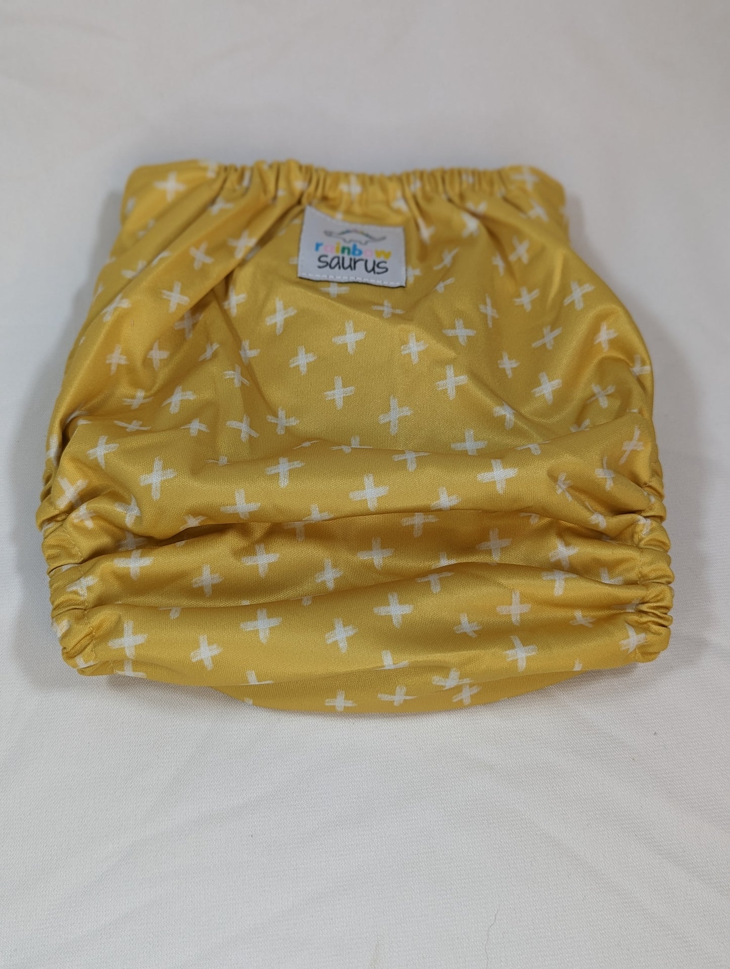 Rainbowsaurus - ECOsaurus Fit - 100 Acre Forest - Back to School
