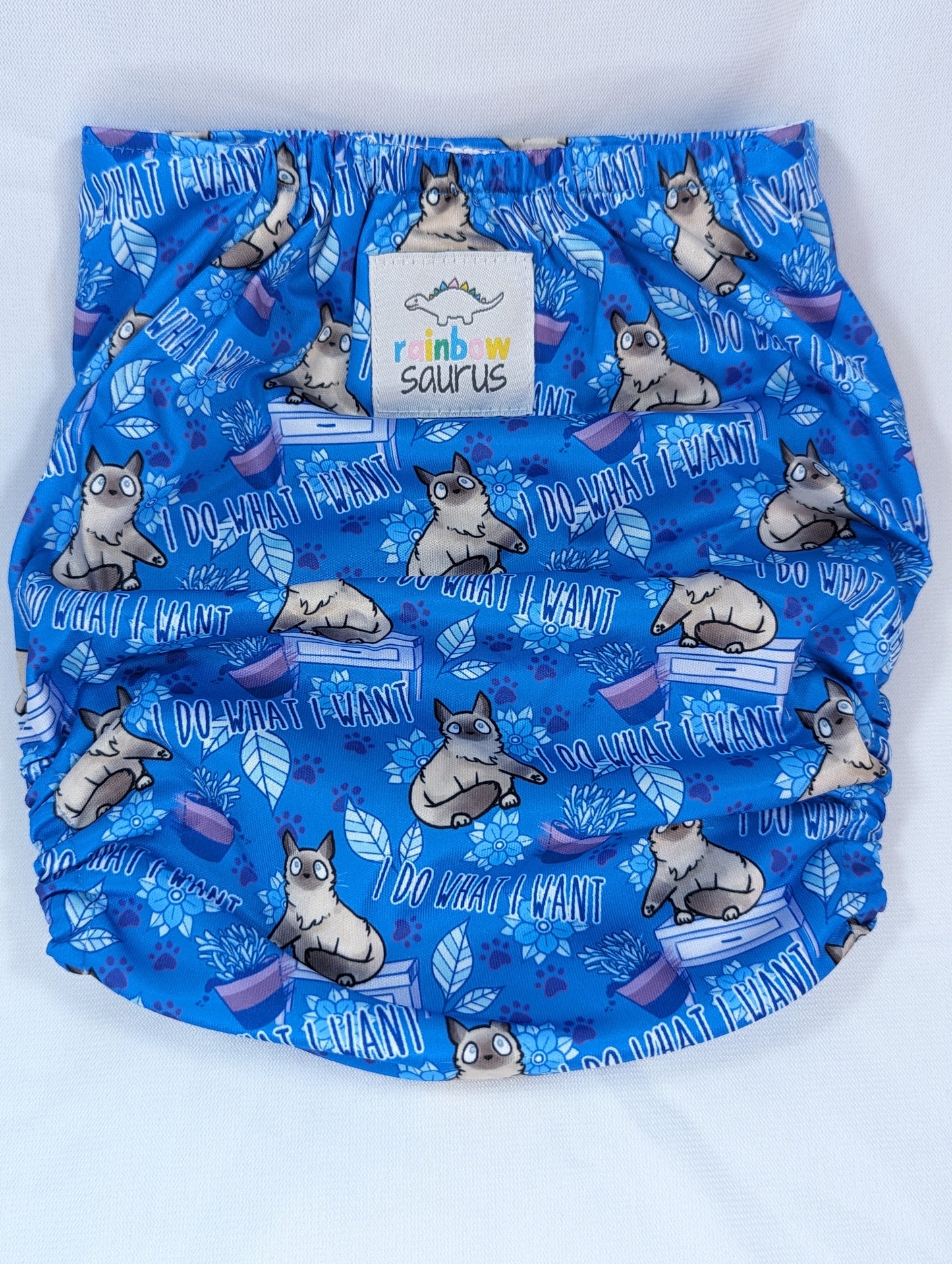 Rainbowsaurus - ECOsaurus Fit - It Builds Character - I Do What I Want