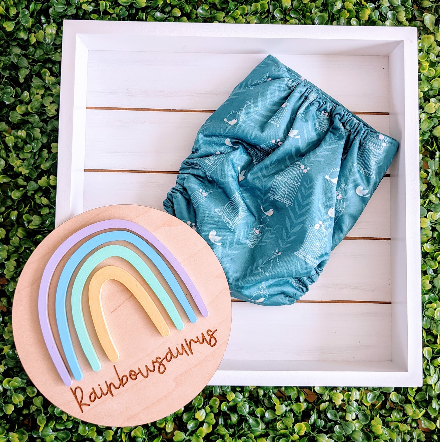 Rainbowsaurus - ECOsaurus Fit - Secret Garden - Birdcages