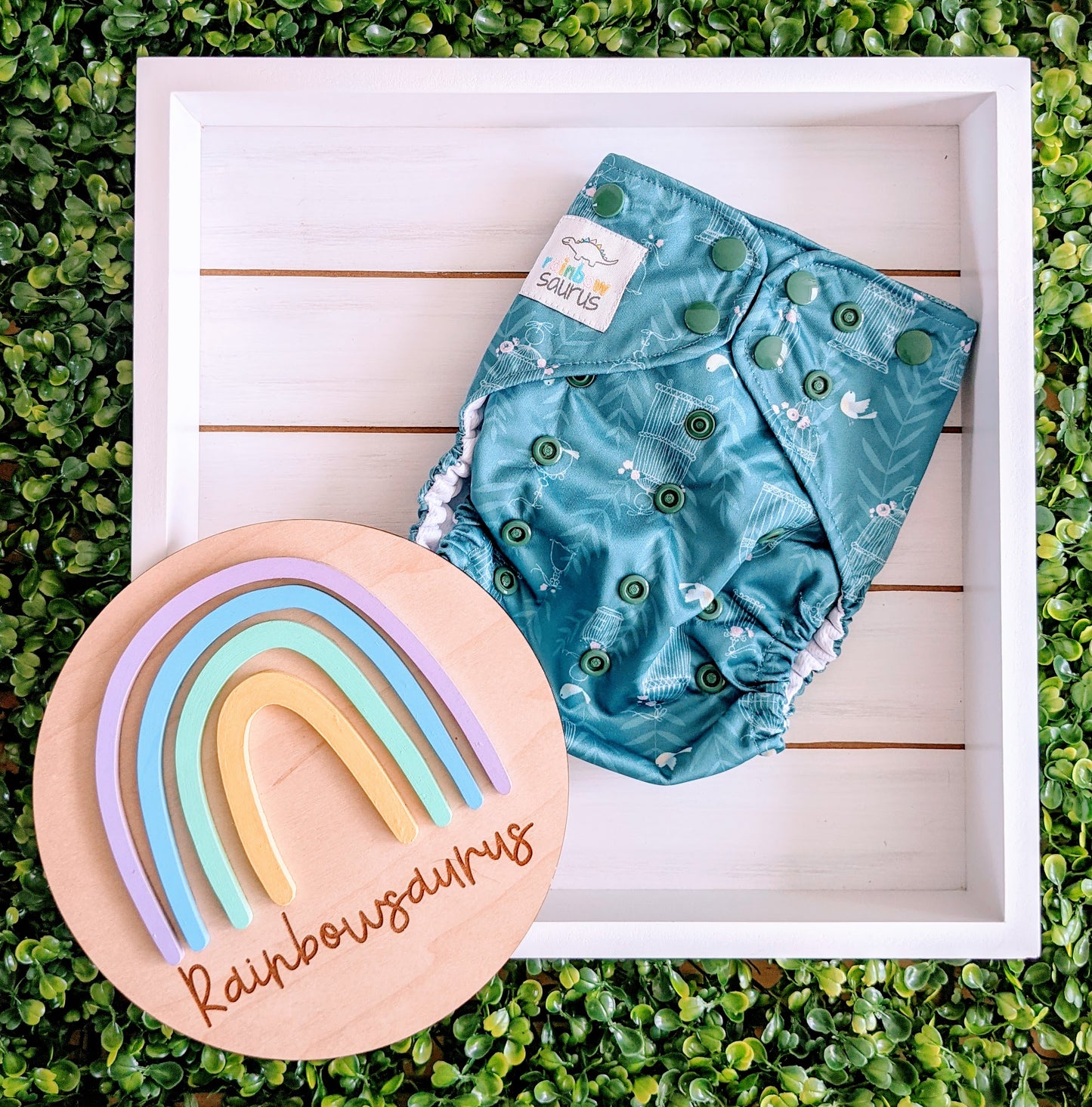 Rainbowsaurus - ECOsaurus Fit - Secret Garden - Birdcages
