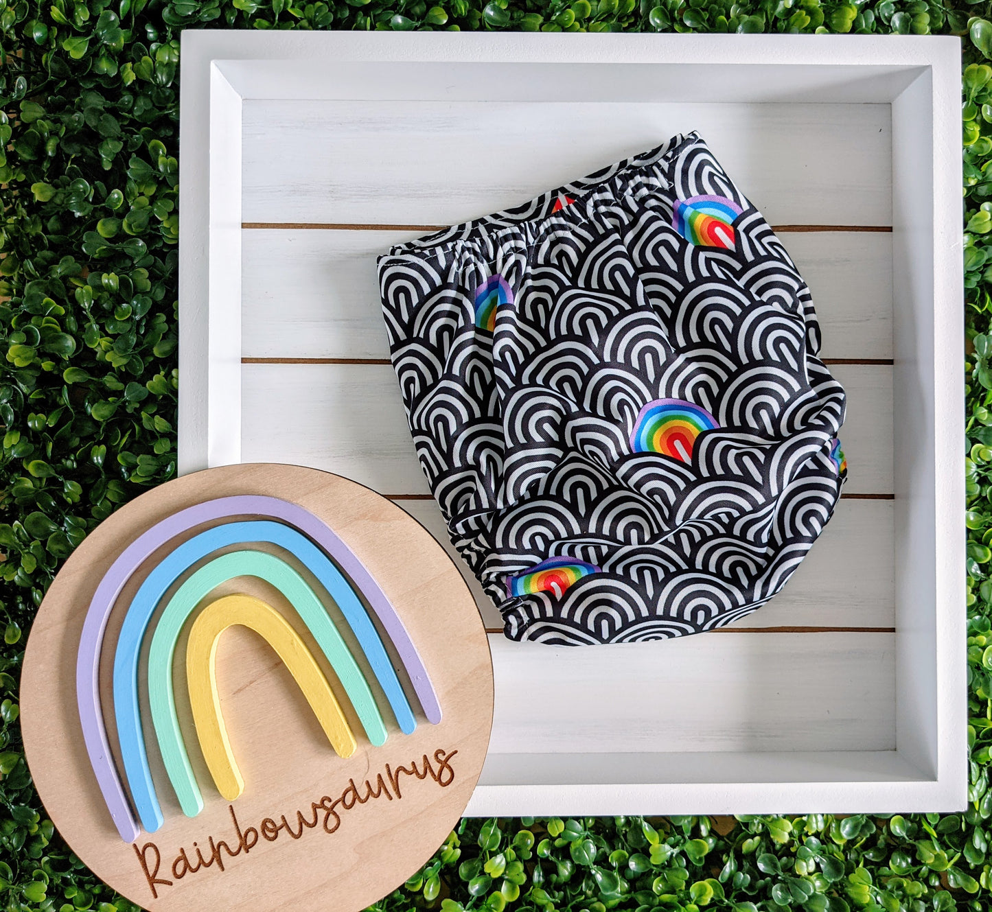 Rainbowsaurus - ECOsaurus Fit - Black and White - Black and White and Rainbow