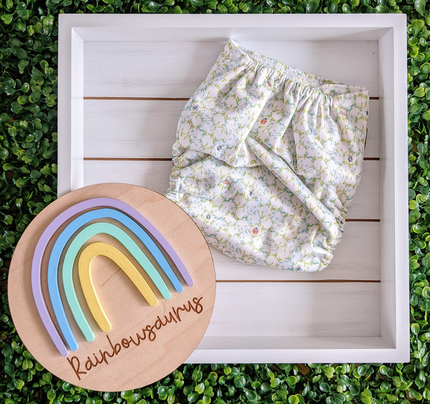 Rainbowsaurus - ECOsaurus Fit - Secret Garden - Ladybug Lattice