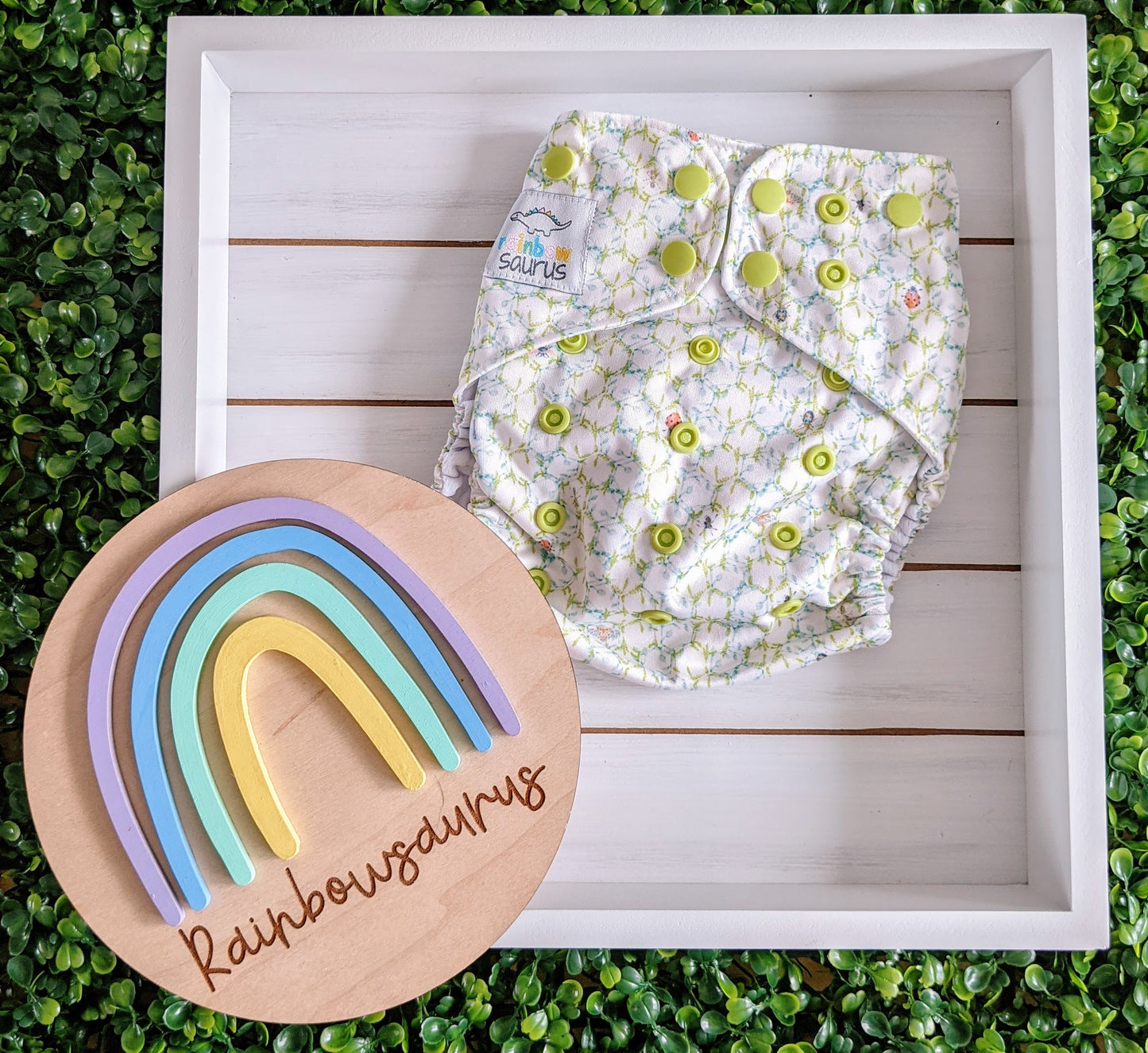 Rainbowsaurus - ECOsaurus Fit - Secret Garden - Ladybug Lattice