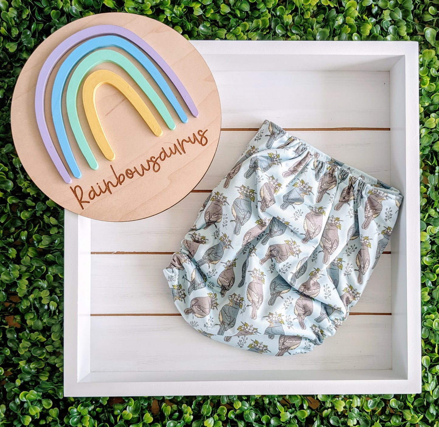 Rainbowsaurus - ECOsaurus Fit - Secret Garden - Nature's Crown