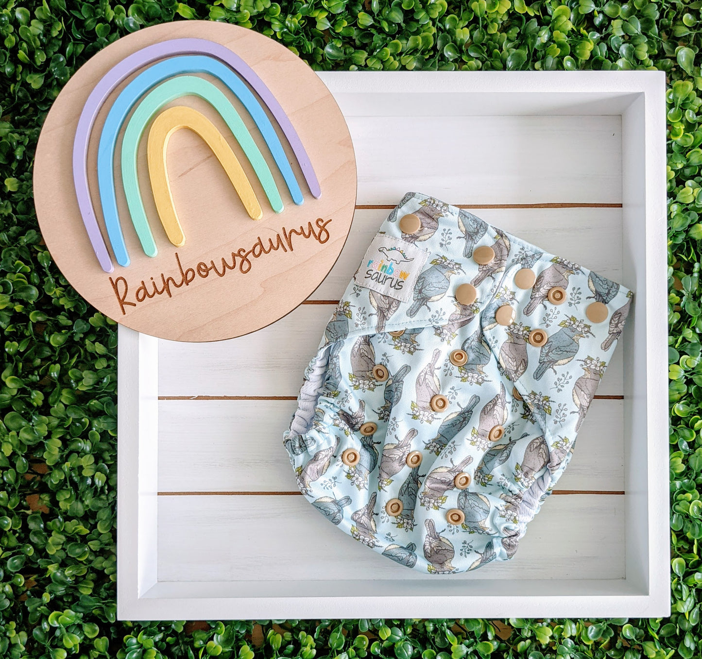 Rainbowsaurus - ECOsaurus Fit - Secret Garden - Nature's Crown
