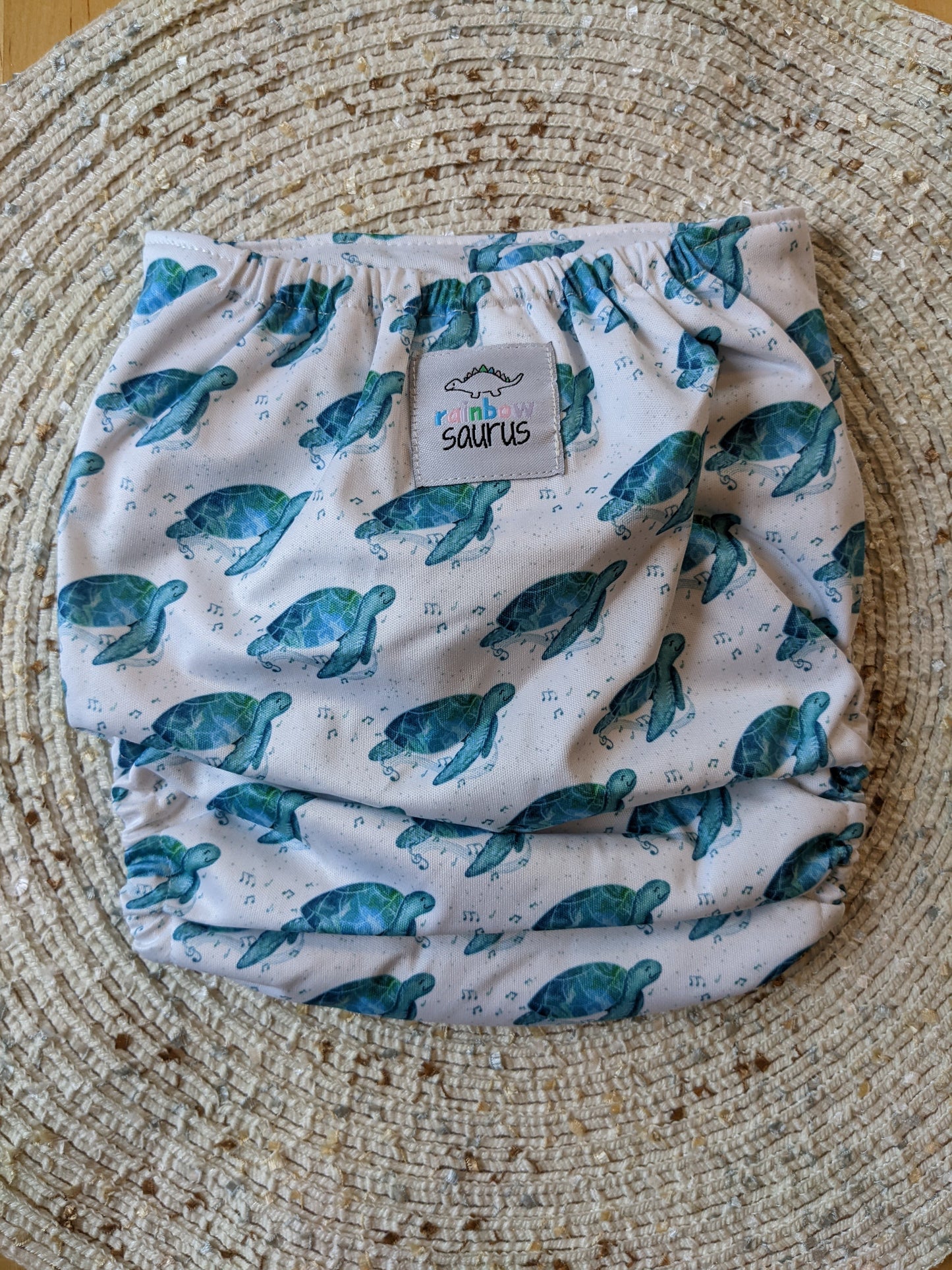 Rainbowsaurus - ECOsaurus Fit - Oceans 5 - Turtle Song