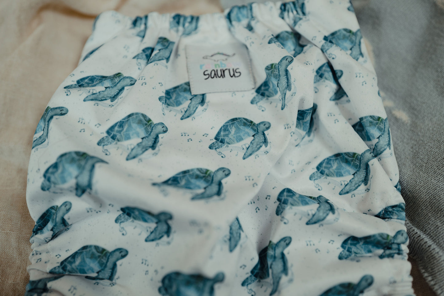 Rainbowsaurus - ECOsaurus Fit - Oceans 5 - Turtle Song