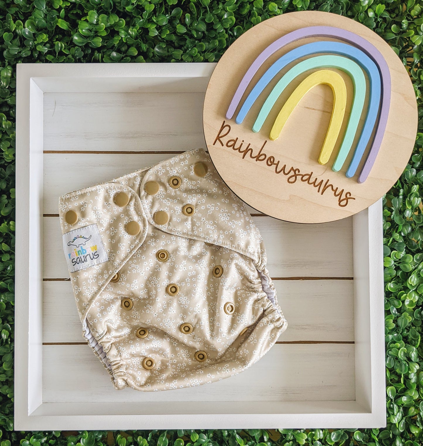 Rainbowsaurus - ECOsaurus Fit - Secret Garden - Sand Flowers