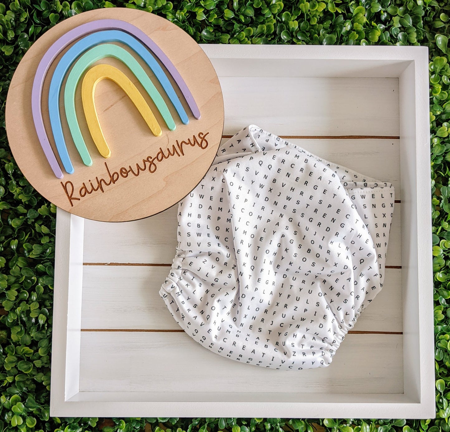 Rainbowsaurus - ECOsaurus Fit - Black and White - Search for Kindness