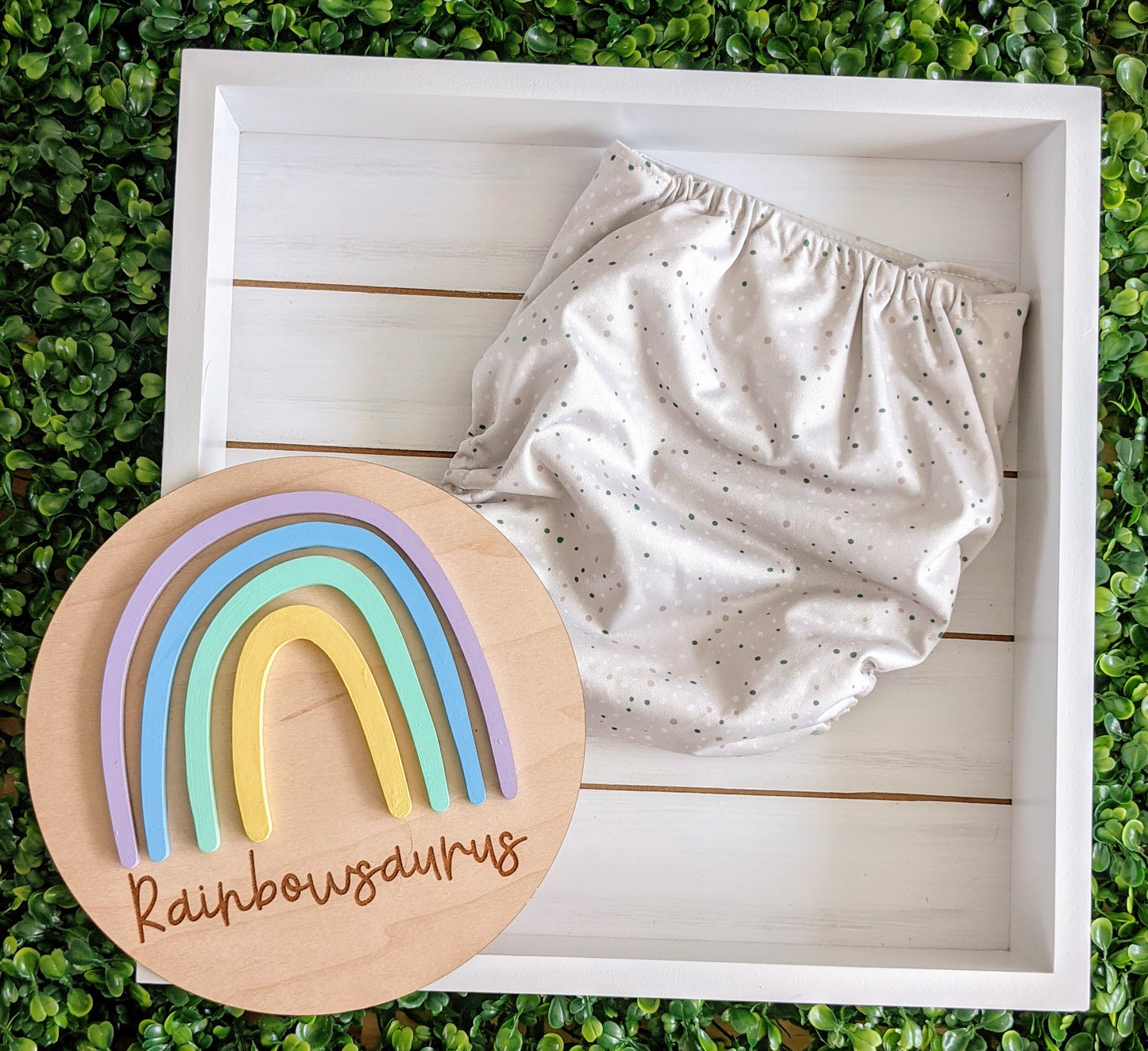 Rainbowsaurus - ECOsaurus Fit - Secret Garden - Speckles