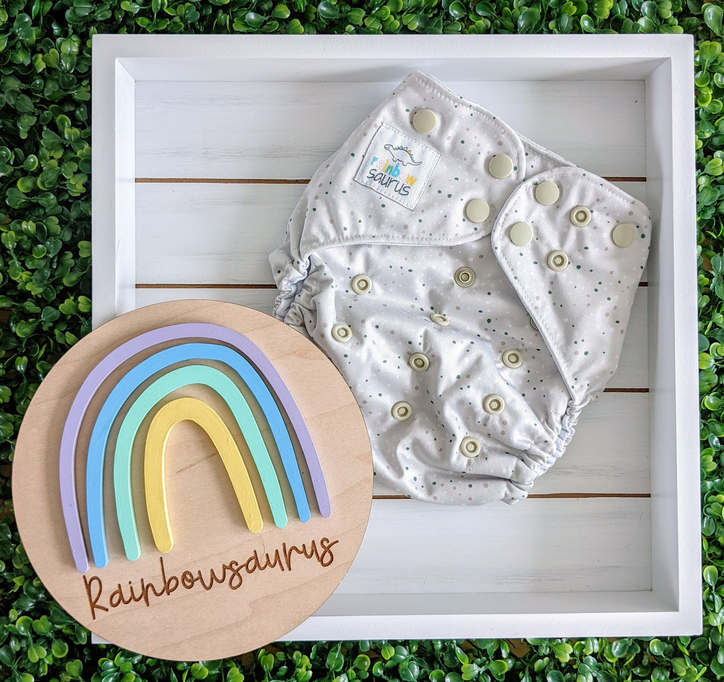 Rainbowsaurus - ECOsaurus Fit - Secret Garden - Speckles