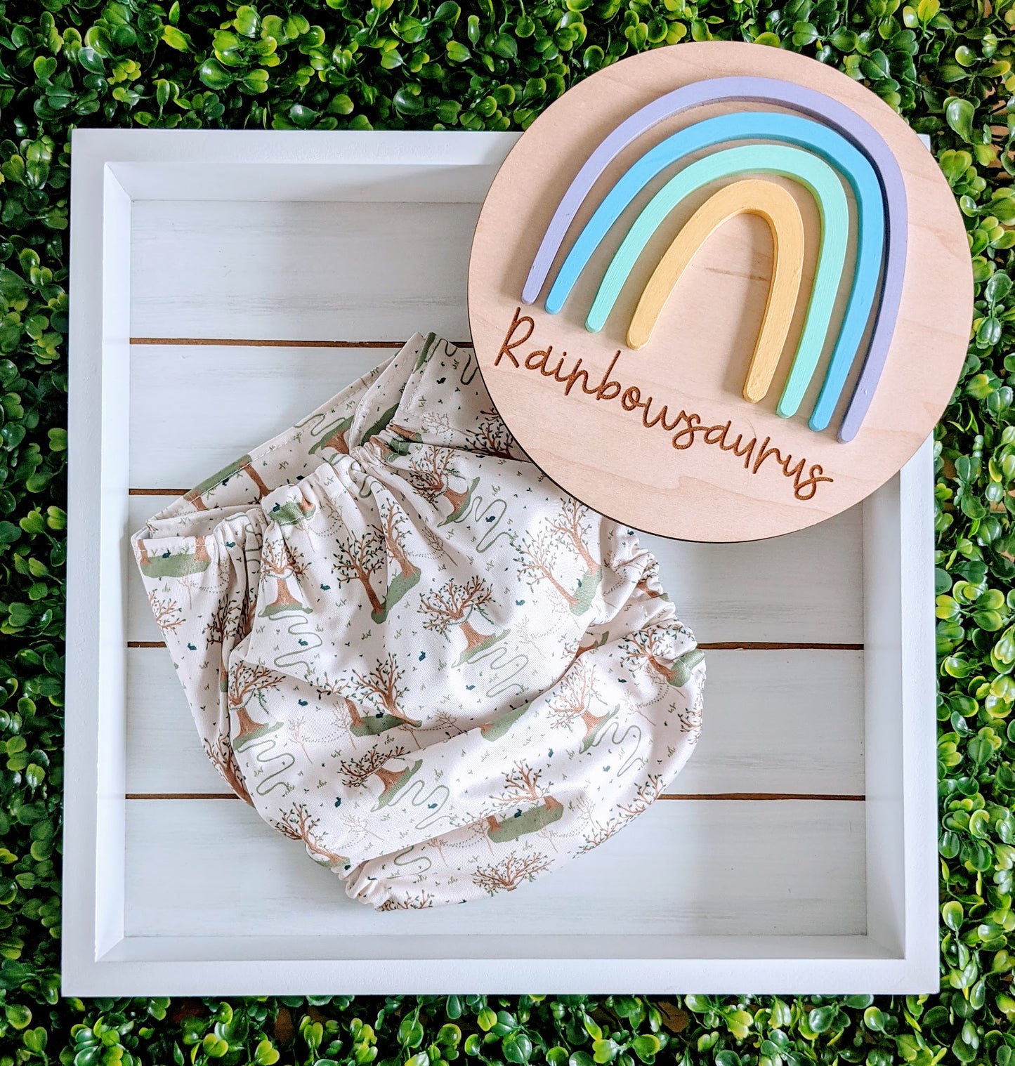 Rainbowsaurus - ECOsaurus Fit - Secret Garden - A Walk in the Woods