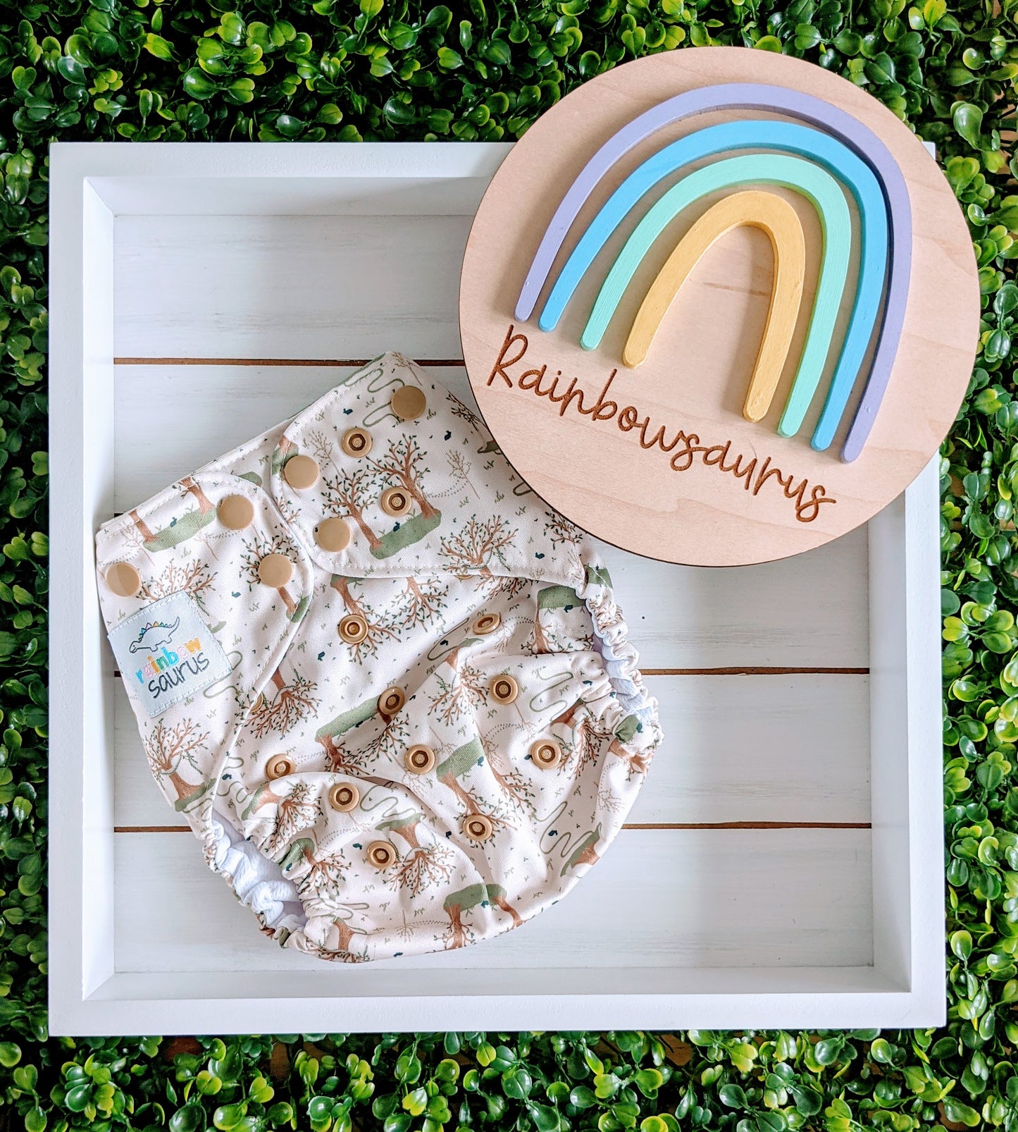 Rainbowsaurus - ECOsaurus Fit - Secret Garden - A Walk in the Woods