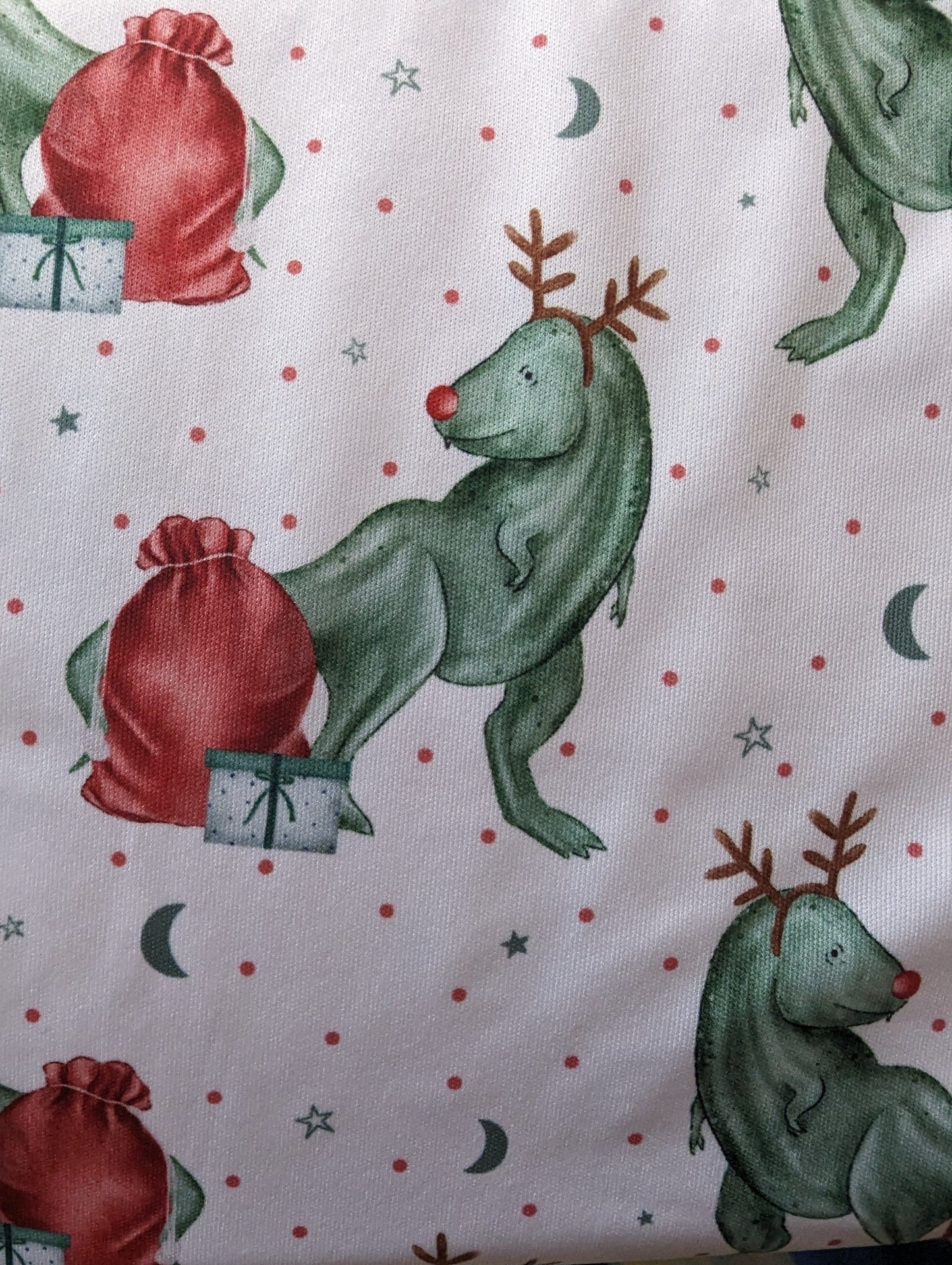 Rudolph Dinosaur Christmas Stocking Wetbag